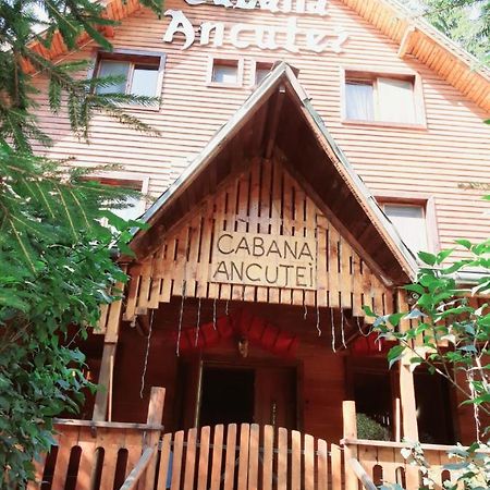 Cabana Ancutei Rucăr Eksteriør billede