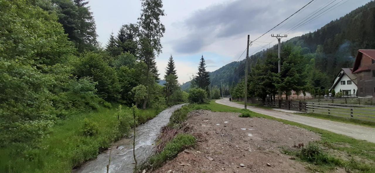 Cabana Ancutei Rucăr Eksteriør billede