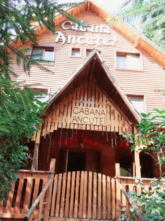 Cabana Ancutei Rucăr Eksteriør billede