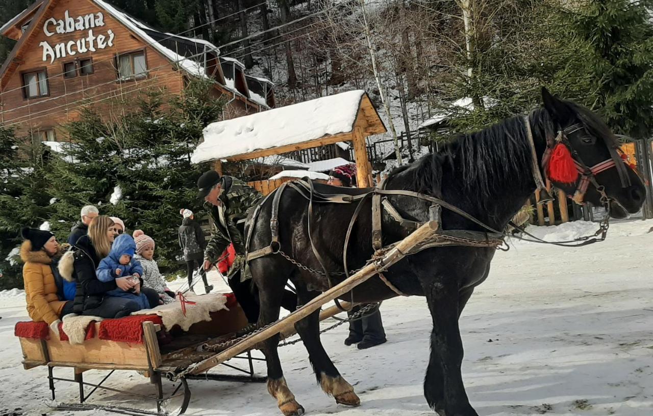 Cabana Ancutei Rucăr Eksteriør billede