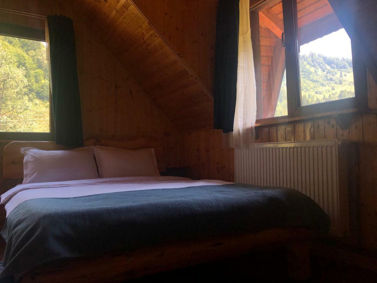 Cabana Ancutei Rucăr Eksteriør billede